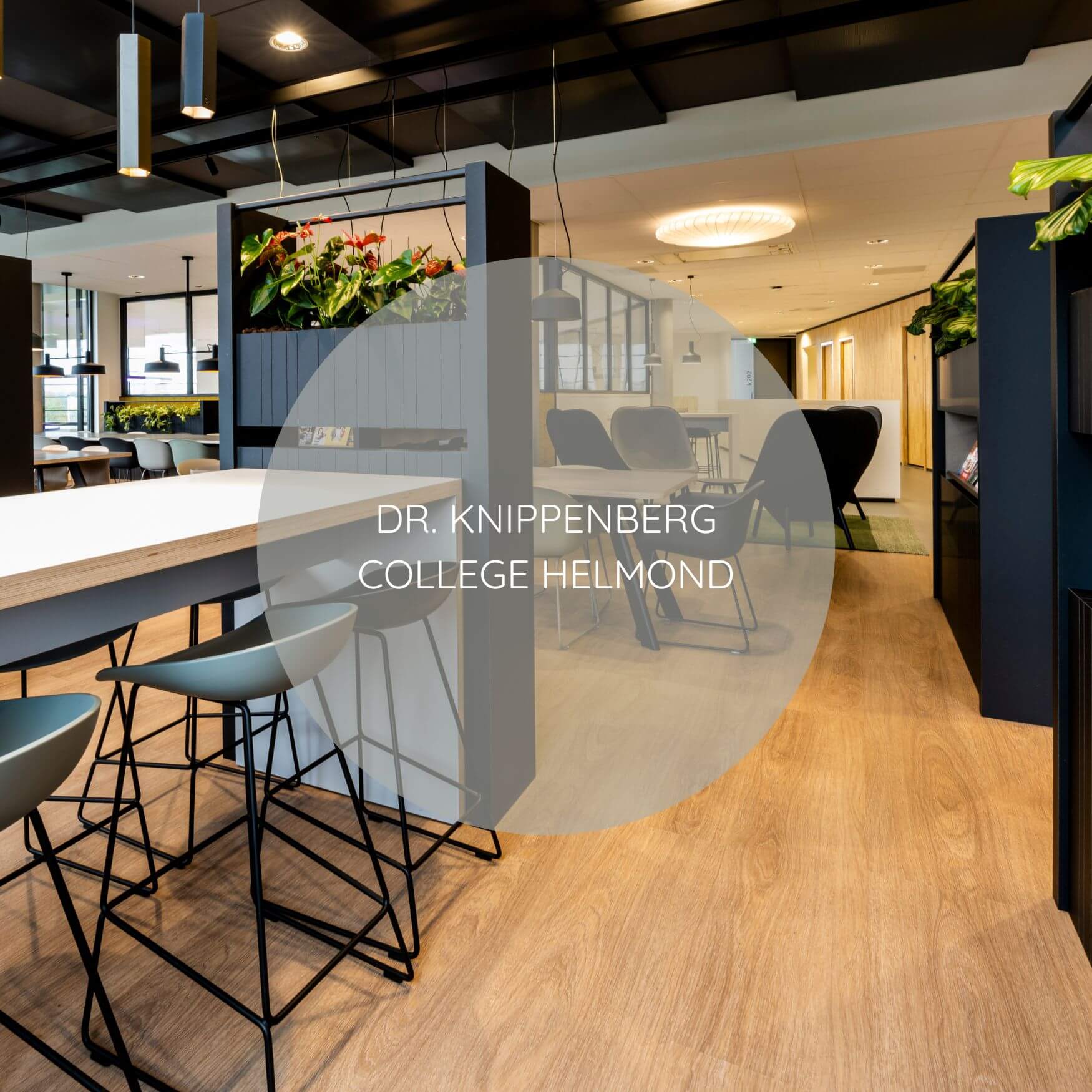 B. KNIPPENBERG COLLEGE HELMOND